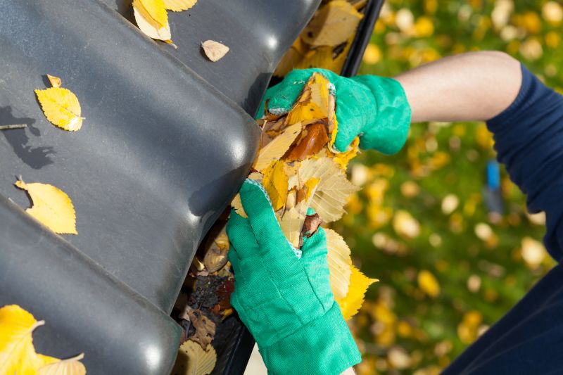 Gutter Maintenance in Rochester, NY