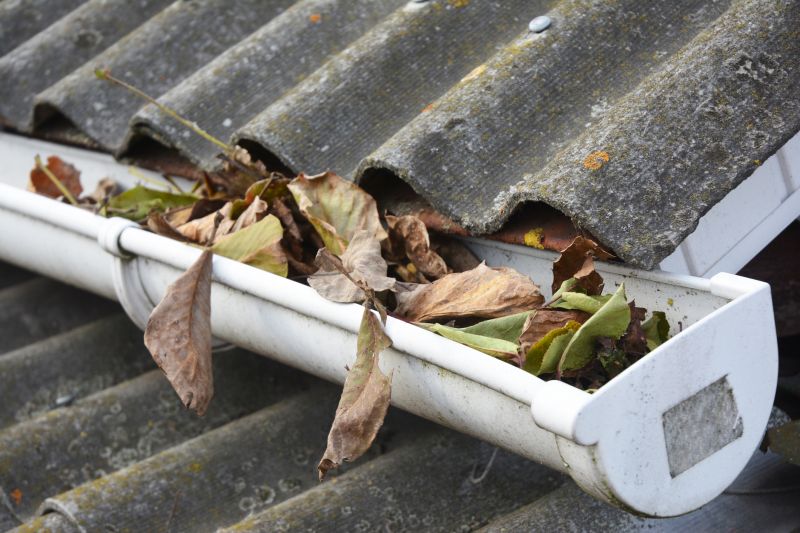 Clogged Gutter Clearing in Rochester, NY