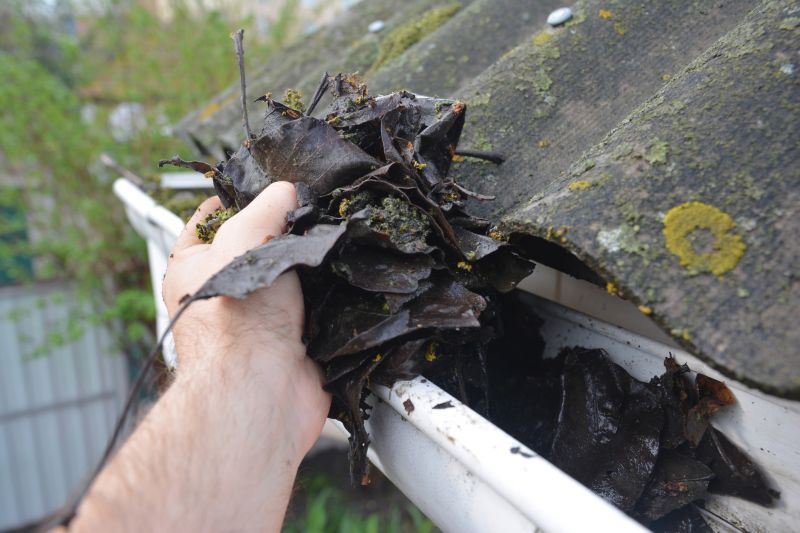 Gutter Cleaning in Baltimore, MD