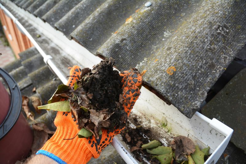Gutter Cleaning in Arvada, CO