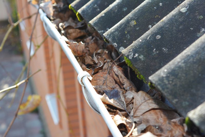 Gutter Leaf Clearing in Fredericksburg, VA