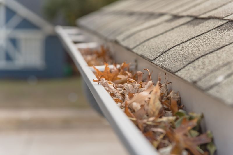 Gutter Leaves Removal in Long Island, NY