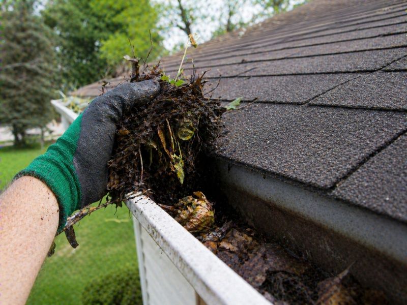 Gutter Pine Needle Removal in Frederick, MD